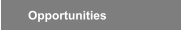Opportunities